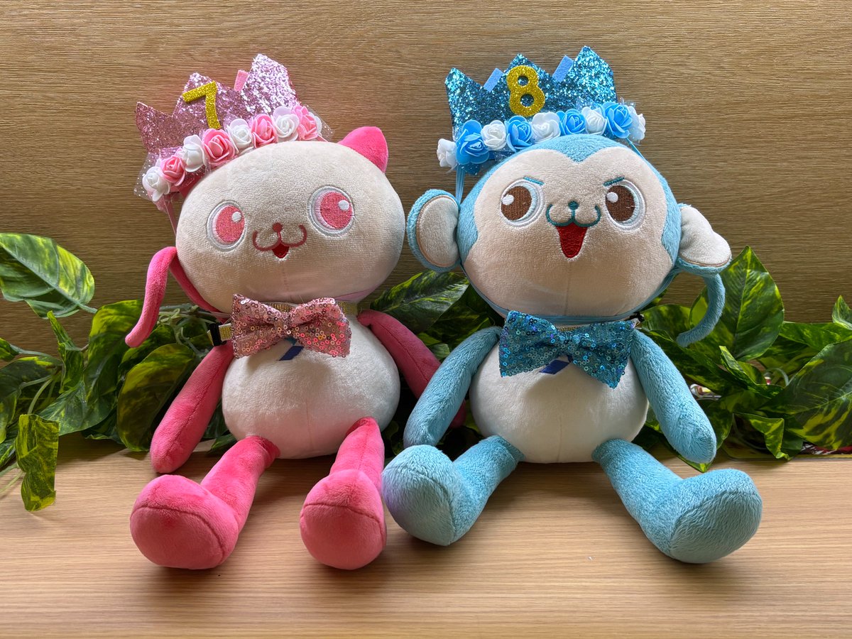 yuko_group's tweet photo. 🎉創業月間🎉
ということで、ニコラとチャップも
お着替えしました🐱🐵 

本日は EVO37久留米🎰
@EVO3_yumepa 
 EVO店内のどこにいるのか探してみてくださいね～～!!
#創業月間 #ユーコー https://t.co/d37ohCnY8l