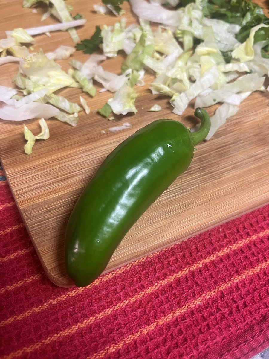 creattvre's tweet photo. mother nature grew this from her own pussy in my backyard. be proud https://t.co/Uau9D9pz18