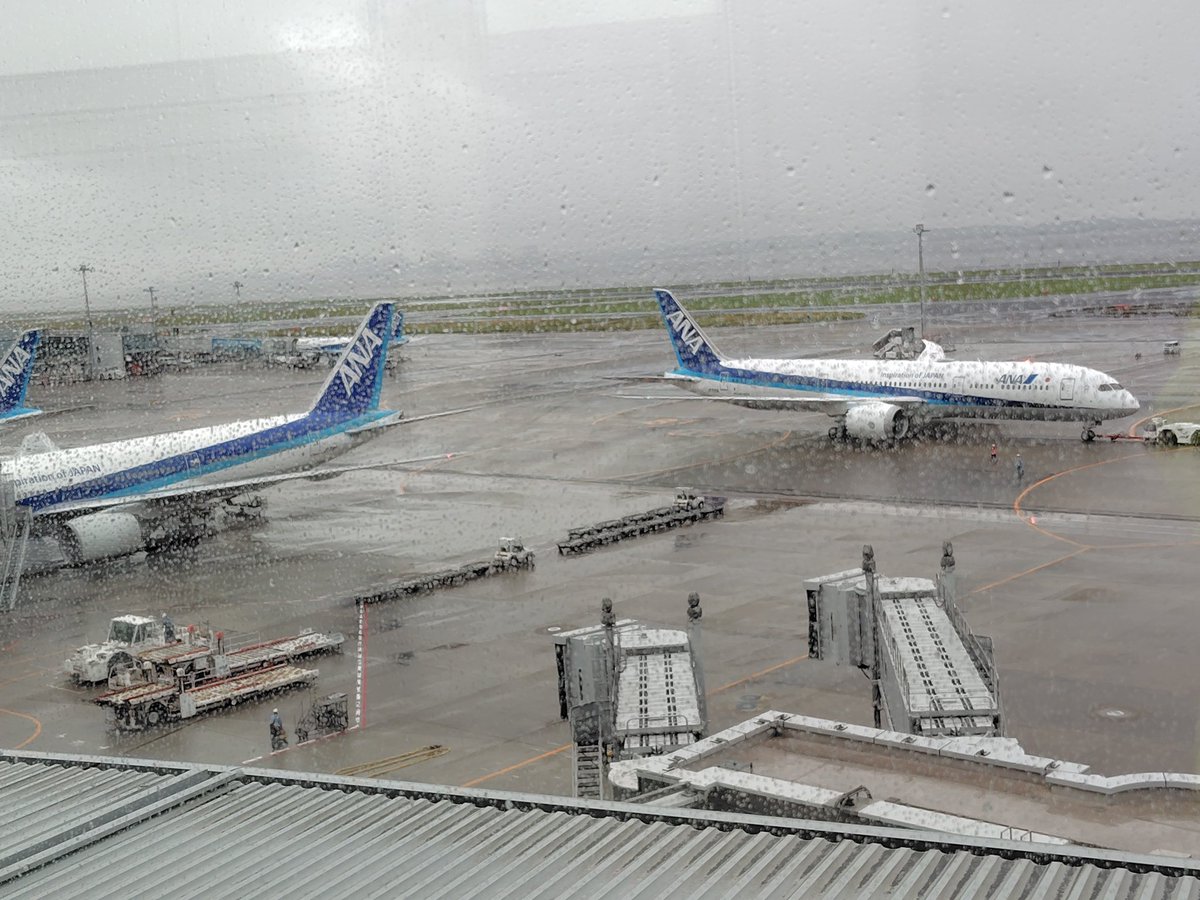 jp1ppb's tweet photo. ほらごらん、あれが全日空という会社の飛行機だよ https://t.co/iHS2ZuuNkM