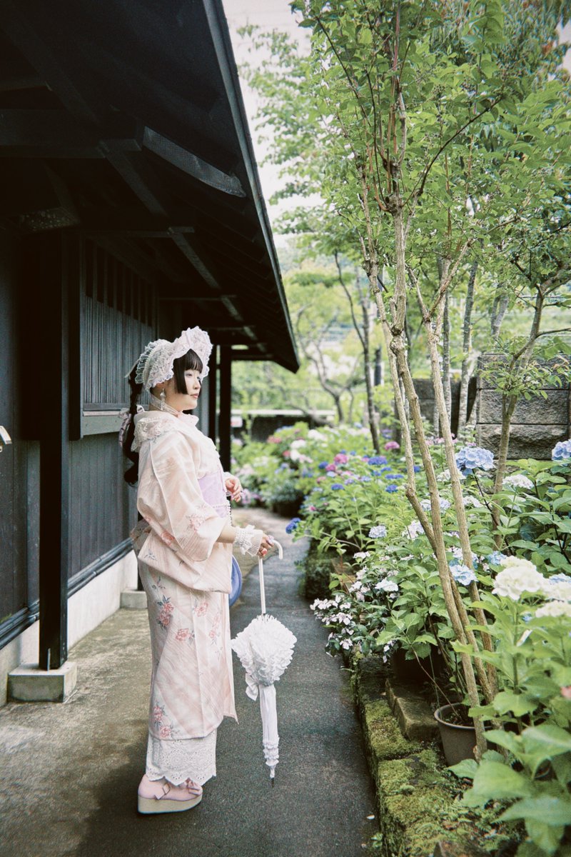mumi_mushu___'s tweet photo. 雨上がりの北鎌倉にて
混みあっているお寺よりか静かに紫陽花をを愛でることができるこちらの方が、私の性に合っている気がした 是非また行きたいね https://t.co/zIz0VE00XM
