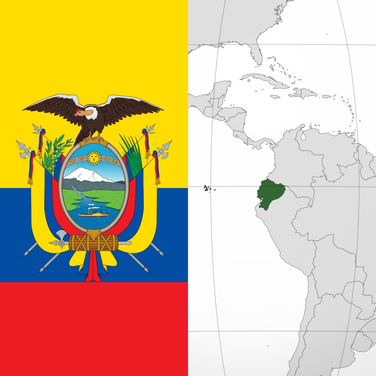 CerebrosG's tweet photo. Ecuador llega al Mundial con 19 partidos consecutivos sin derrota, desde septiembre de 2024 no han perdido. https://t.co/u4KZC5rJxW