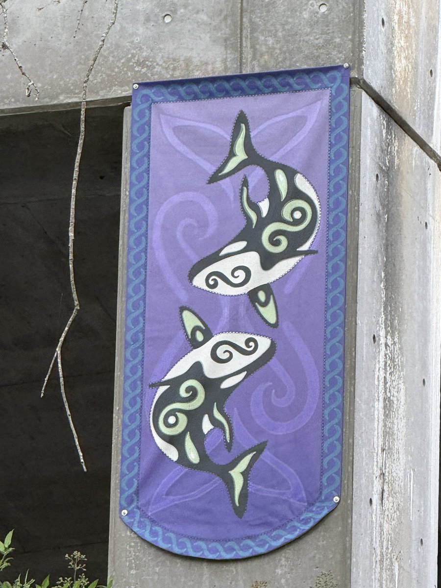 ThemePark_Dan's tweet photo. New purple orca tribal banners have been added to the exterior pillars of Shamu Stadium https://t.co/94Rgl397jg