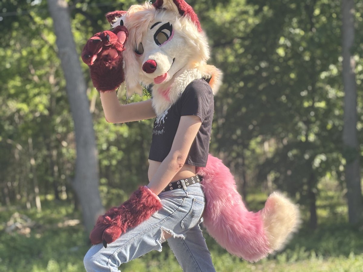 2dogsounds's tweet photo. Dog!!!
Here!!!!!

Thanks so so much for the amazing suit by @SLemm0n 🪡 🥳🥳🥳
#fursuit #furry #fursuitfriday #publicsuiting https://t.co/DZ9dfGYia4