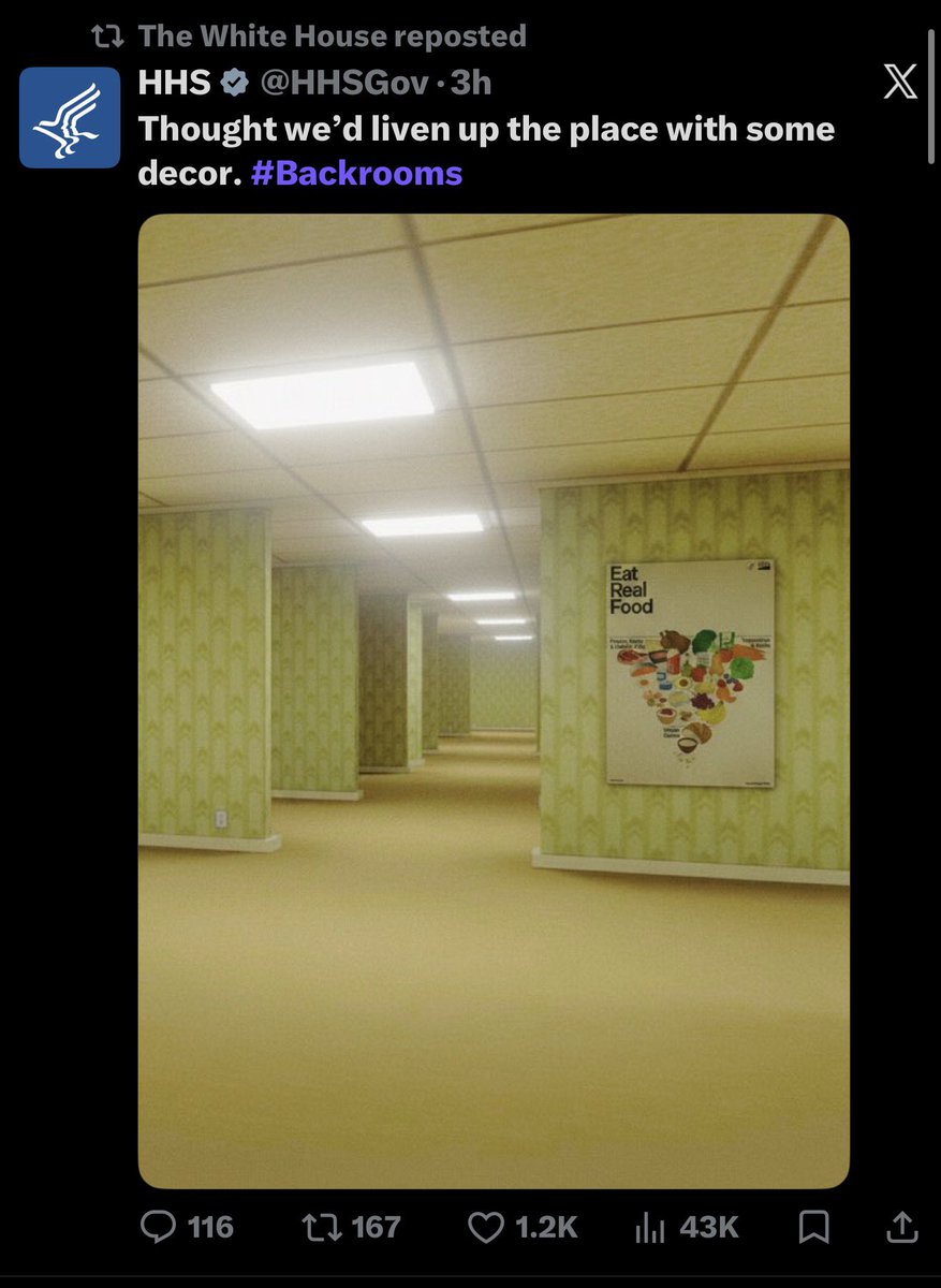 originalpump's tweet photo. Og $backrooms 

Dex paid 

Gas it 

New Gen Z slop 👀

GMLbnaNEusN5oayncnUCVP1tpHER6pmsaWWJqY9YNUWR https://t.co/qhO27kRtZj