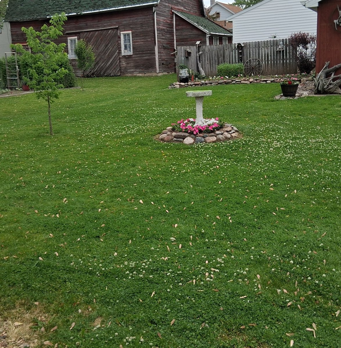 iamrodneysmith's tweet photo. Brian of Colby, Wisconsin ,who is taking part in our 50 yard challenge mowed a lawn recently ! Lawn 12 for him ! https://t.co/YKr0GDzbFU
