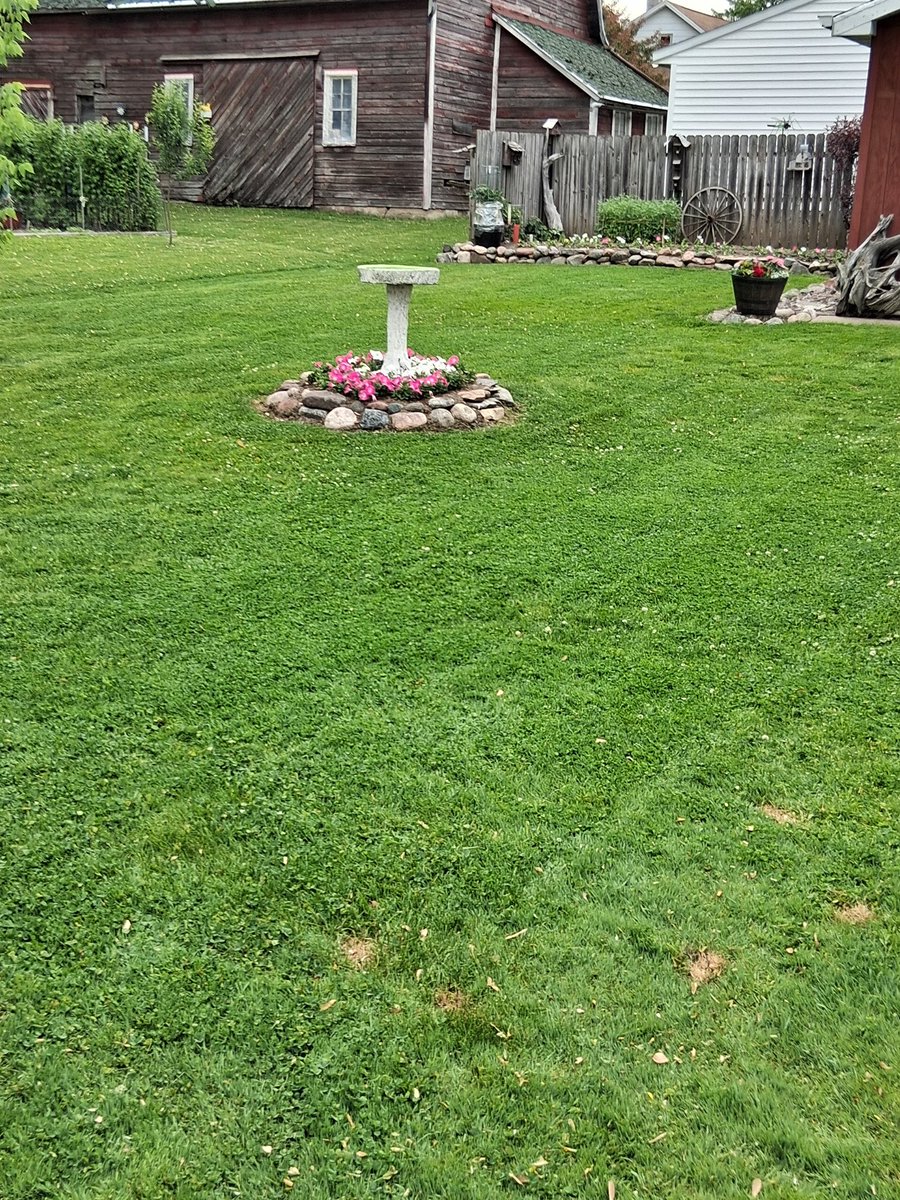 iamrodneysmith's tweet photo. Brian of Colby, Wisconsin ,who is taking part in our 50 yard challenge mowed a lawn recently ! Lawn 12 for him ! https://t.co/YKr0GDzbFU