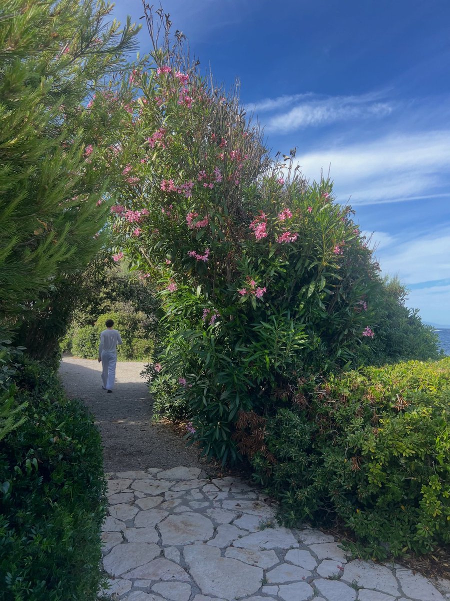 debnamcareybr's tweet photo. 📸 | “Antibes 🍃”

(via alyciajasmin no Instagram) https://t.co/yGDXRF0AtI
