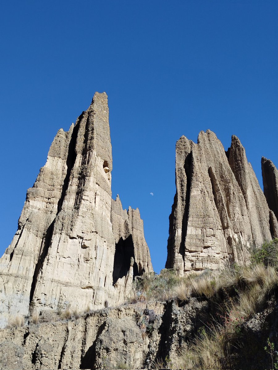 patyllanos's tweet photo. #Valle de los #Gigantes #LaPaz #Bolivia  #trekkinday #sundayvibes https://t.co/eBwmhhCB0Z