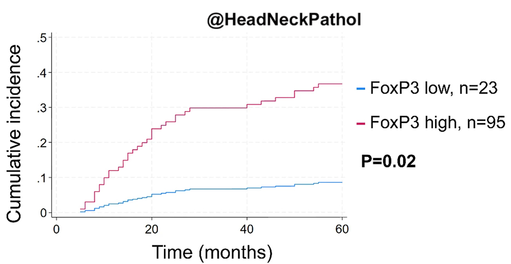 HeadNeckPathol's tweet photo. FoxP3+���Cells &amp; PNAd+ Tumour-Associated High Endothelial Venules: Synergistic Prognostic Markers in Oral Tongue Squamous Cell Carcinoma
IA Abdulsalam, K Sellæg, FO Benebo, et al
https://t.co/3ZJnQyJ2UU
#HeadNeckPathol #HNPJ #HeadandNeckPath #Pathology #ENTPath #PathologyTweet https://t.co/rih6cai3f2
