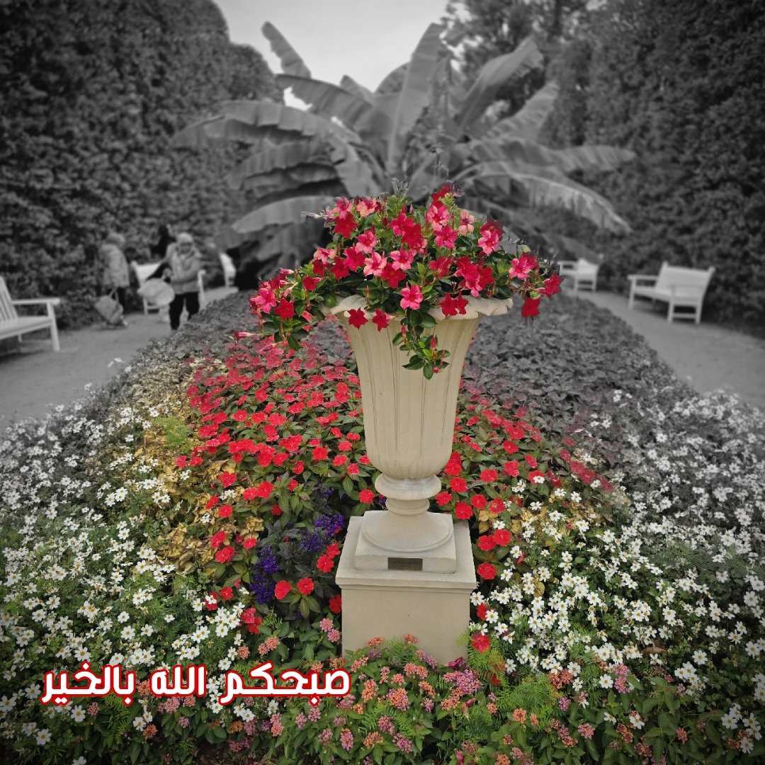 cbafaha's tweet photo. صبحكم الله بالخير https://t.co/k8bmxd3NSQ