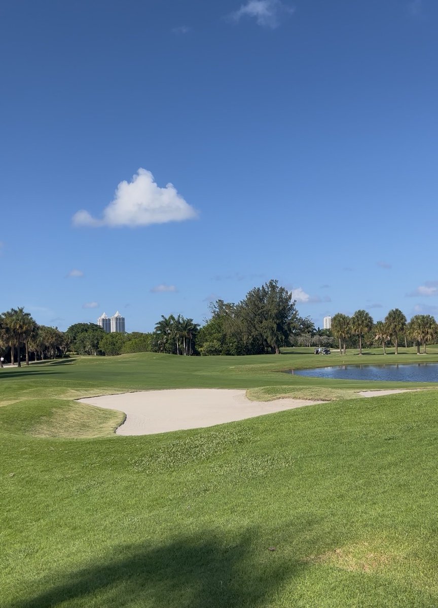 Shorty_361's tweet photo. Shitty scorecard , Beautiful track https://t.co/n22EM0MYRG