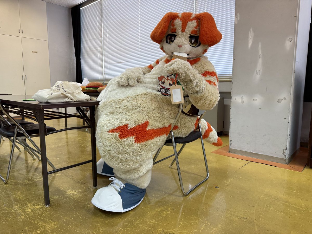 harukemo's tweet photo. おはようなのにゃ🐾️
春陽は、寝られなかったのにゃ
#生春陽巻
#ケモノをみて今週もがんばりマンデー https://t.co/JhVl0mPN3m