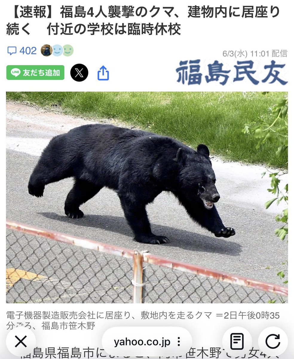 TA43786386's tweet photo. 最近、街に迷い込んでしまったクマの動画がSNSに投稿されることが増えて来ました。
なかには、怖がって逃げ惑うクマの姿を過剰に強調し、まるでクマだけが悪者であるかのように見せてしまうものもあります。
人の行動や発言を無理に止めることはできませんが、「なぜクマが街に出てこざるを得なかったのか」という背景に目を向けることが大切ではないでしょうか。
ただ「危ないから排除すればいい」という結論だけでは、根本的な解決にはならないです。
もし情報を共有するのであれば、不安を煽るような見せ方ではなく、「どこで見かけられたか」という事実を静かに伝えるだけで十分なはずです。
クマは、川沿いなどをたどっているうちに、気がつけば見知らぬ市街地に入り込んでしまうことがあります。
人間にとっては慣れた街でも、クマにとっては初めての場所です。突然知らない世界に放り込まれ、どこへ逃げたら山に帰れるのか、クマ自身もパニックになり、必死に迷っている状態であると受けとれます。
そんな時は、大声で追いかけたり刺激したりせず、静かに見守り、安全に山へ帰れるルートを作ってあげることが大切です。
海外の一部の地域では、野生動物が近くに来ても、必要以上に大騒ぎせず、お互いの距離を保ちながら冷静に見守る人間の姿勢を目にします。

私たち人間の暮らしが自然に与えている影響を振り返り、クマの行動の理由をそっと推し量る。　
そんな心の余裕が、これからの時代には必要であり、クマを一方的な悪者にせず、同じ地球に生きる命として、お互いに刺激し合わない優しい距離感を見つけていけたらと思います。

#熊も人間も守ろう