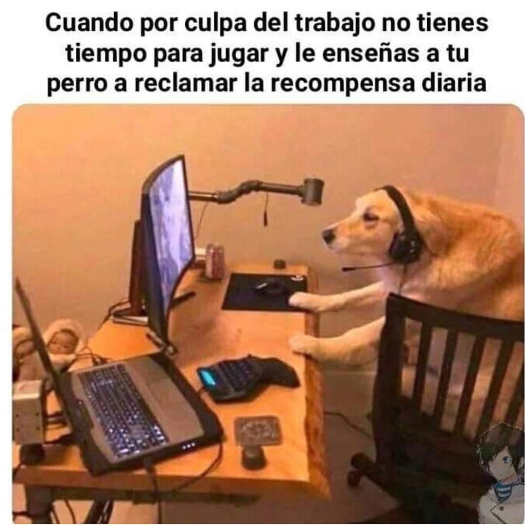 Edgarlmp51's tweet photo. @BasuraGalactik https://t.co/YImZyefm8X