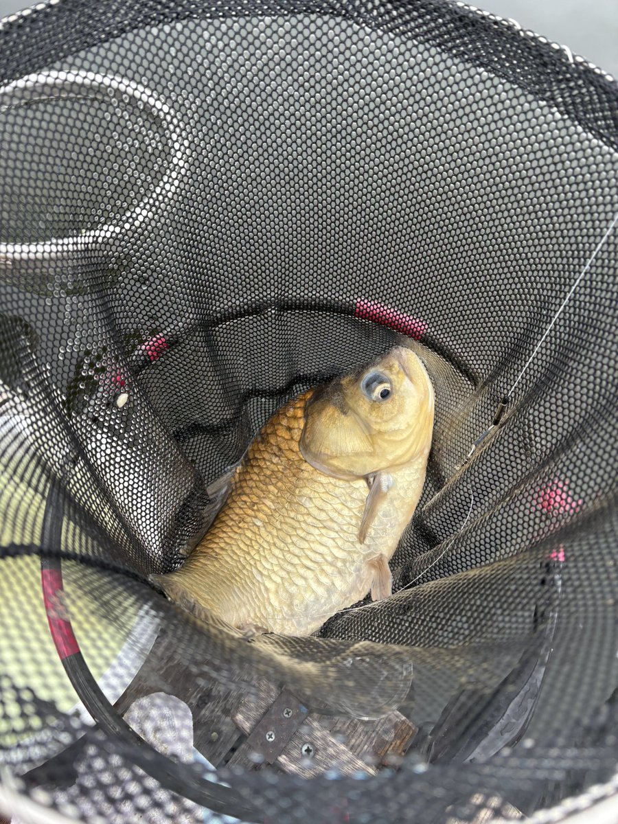 m_ho86's tweet photo. 仲間と椎の木🎣
めっちゃ楽しかったぁ😆😆 https://t.co/GJqrQvI87e