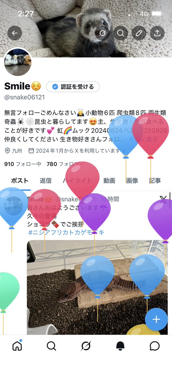 snake06121's tweet photo. 皆さんおはようございます✨
マイバースデーです🍰💕
20代最後を楽しみたいと思います😊
もっちゃん） 僕にご褒美でちか?
飼い主） いや。もっちゃんは12月です😅
 #モルモット https://t.co/2yTsstlpRa
