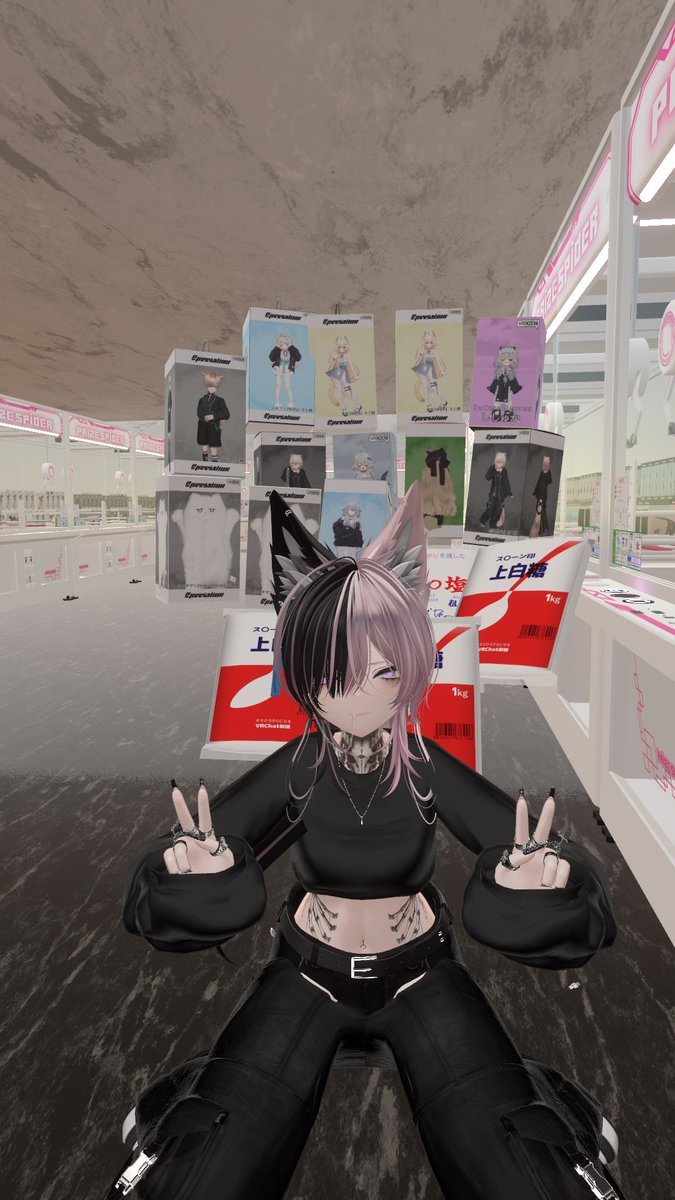 Hutami_vrc's tweet photo. 昨日フレさんとクレーンゲームのワールド行って乱獲してきたよ https://t.co/KoLPCXbAS9