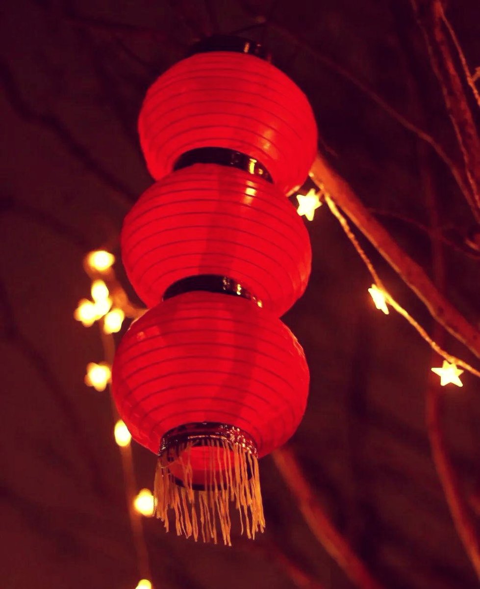 gurkan1985's tweet photo. Happy Lunar New Year! May the year of the Snake bring you good fortune, warm moments and small surprises. https://t.co/EyA6MwozRw