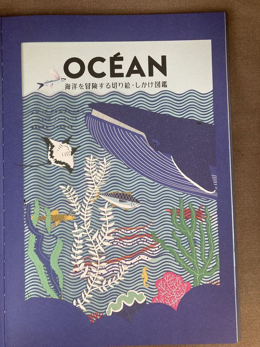 hi_yu03's tweet photo. 自分の訳書で恐縮ですが…#世界海洋デー ということで本の紹介です📚
『海洋を冒険する切り絵・しかけ図鑑』を開いて、海の冒険に出かけてみませんか？

#世界海洋デー https://t.co/GZxwkGo3p9