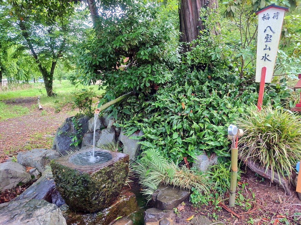 ohgi_RE's tweet photo. 宿チェックイン後の外出はまず湯前の馬場稲荷神社（正一位稲荷大明神）へ。昨年は電球に色とりどりの荷造りPPバンドで鞠のような加工がしてあったのが今年はなし。
白紫陽花とカラーはもう少しで見頃かな。 https://t.co/Avk7kcYM40