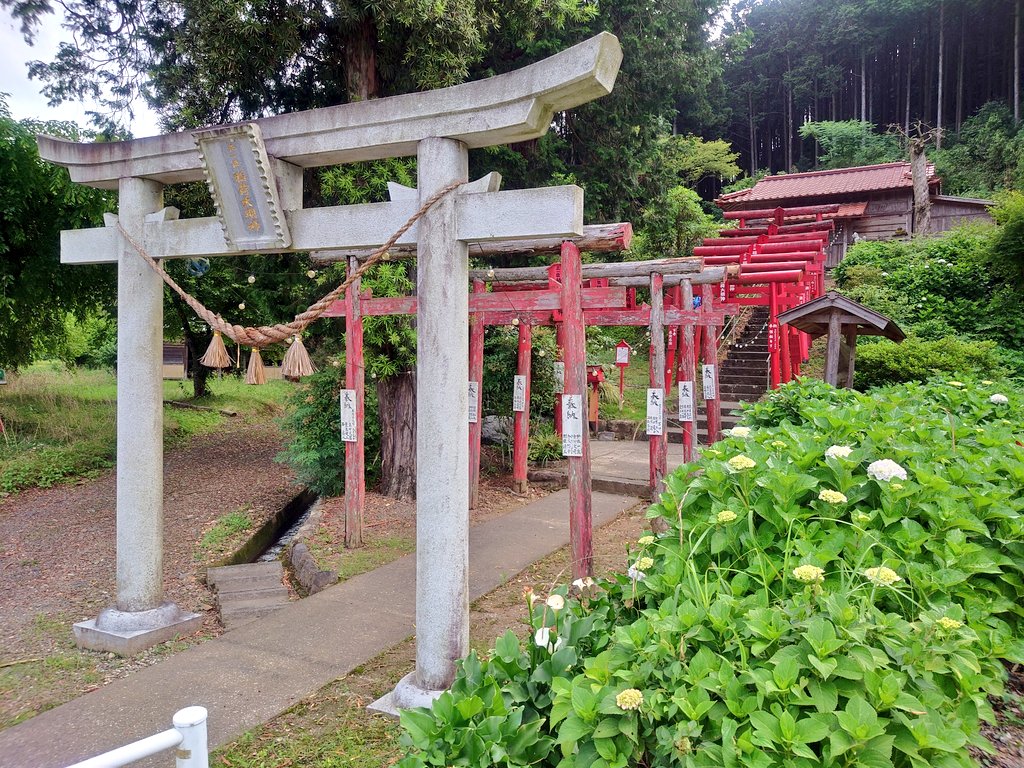 ohgi_RE's tweet photo. 宿チェックイン後の外出はまず湯前の馬場稲荷神社（正一位稲荷大明神）へ。昨年は電球に色とりどりの荷造りPPバンドで鞠のような加工がしてあったのが今年はなし。
白紫陽花とカラーはもう少しで見頃かな。 https://t.co/Avk7kcYM40
