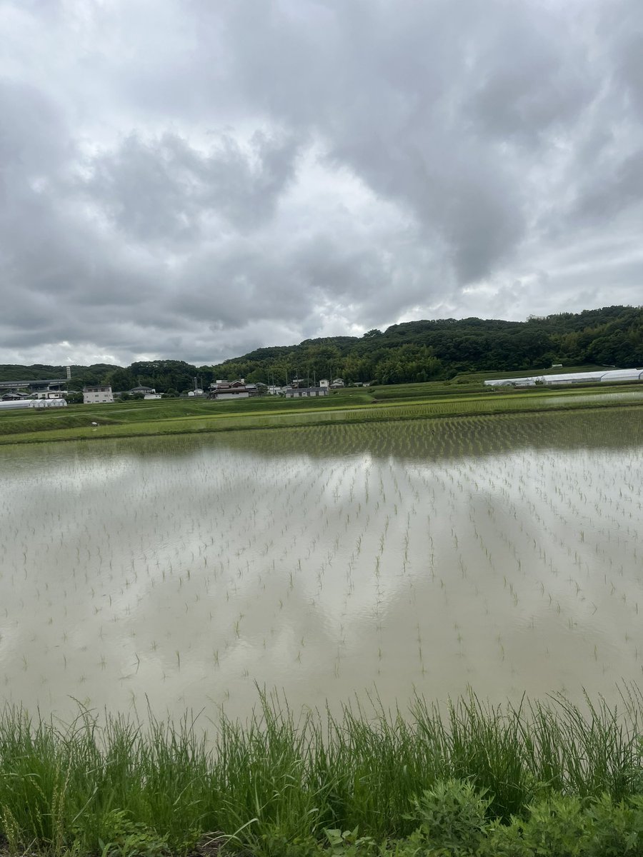 0910na's tweet photo. おはようございます☁️
気温23℃、どんより曇った空だけど何時かは晴れる〜😄✨
今週もやって来たけど疲れはとれたかな？ボーっとしちゃう月曜日、ゆる〜くぼちぼちと始動開始ね〜😁👍✨
今週もよろしくお願いします🥰✌️いつも、いいねやリプ、リポストと絡んでくれて嬉しいよ〜ありがとうございます😝💕今日も穏やかに素敵な一日を( ´͈ ᗨ `͈ )◞♡⃛