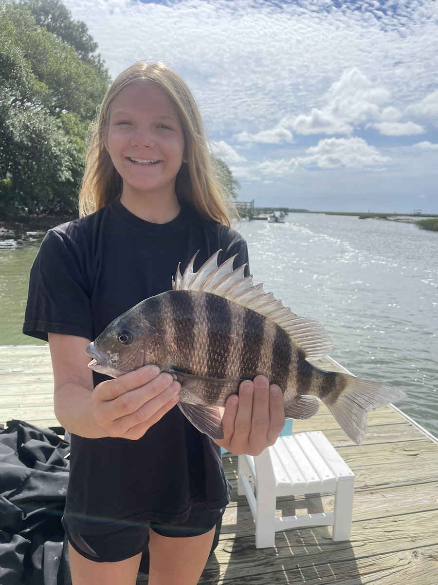 JesseJimIsle's tweet photo. Hardty and I made lite work of the sheepshead. Caught as many as we wanted. Kept 6  🐑 https://t.co/9CJMeNX6DM