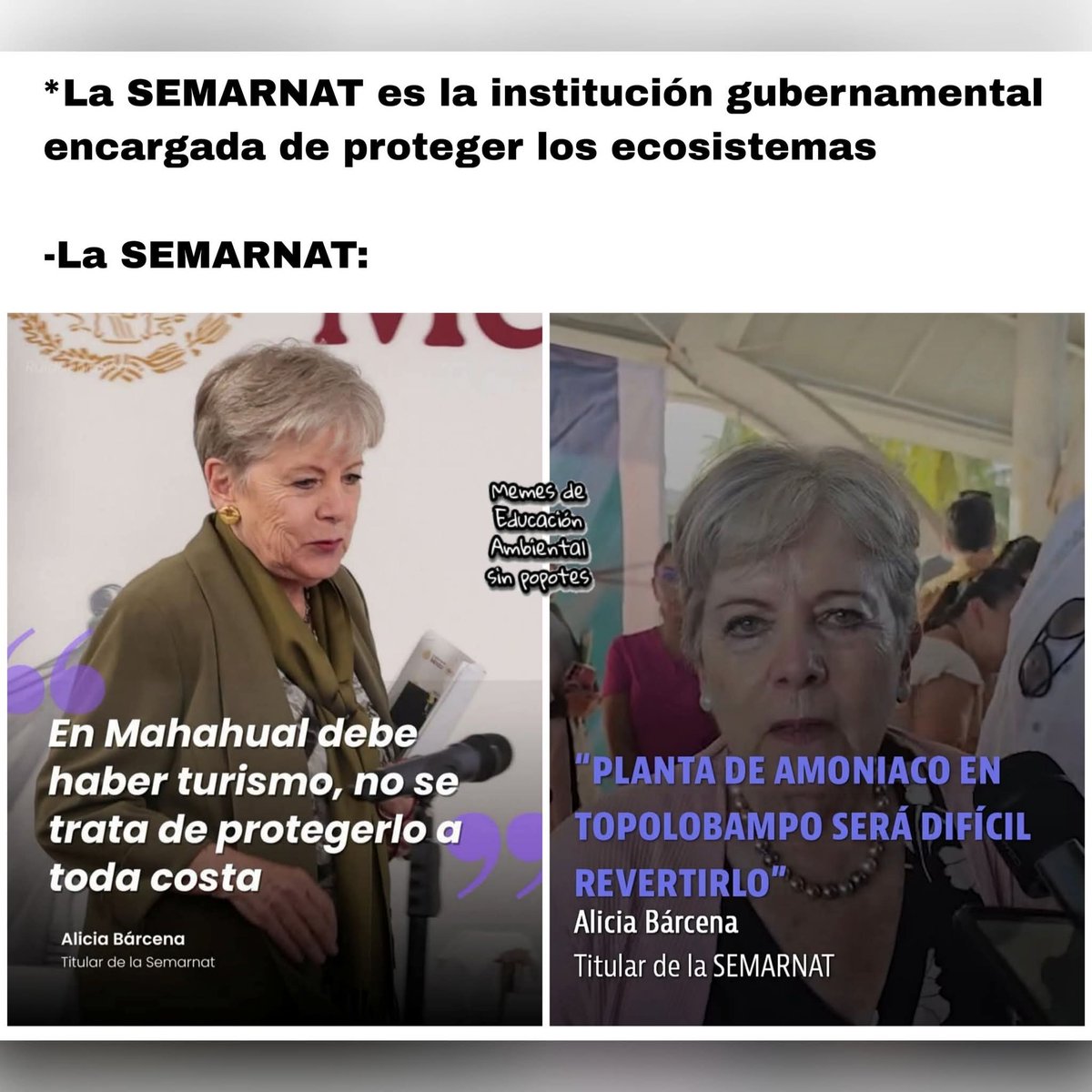EmmaBallester20's tweet photo. @SEMARNAT_mx Su gobierno "Humanista" aparte de desaparecer desaparecidos, de permitir que sigan matando periodistas, madres y padres buscadores y ambientalistas se ha encargado de entregar el territorio a extrajeros que solo destruyen y contaminan. VAYA 4T de PORQUERÍA. Son unos MERCENARIOS! https://t.co/RvDYeiuBIa