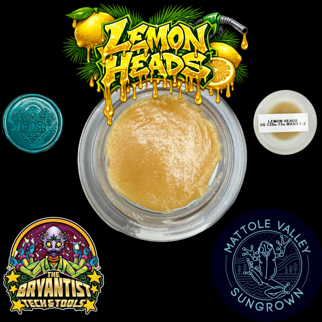 Gasolinenterps's tweet photo. Lemon Heads rosin processed by @Thebryantist2 &amp; grown by Mattole Valley Sungrown. Lemon notes with slight musk skunk notes on the backend inhale &amp; exhale. Not the strongest of lingering terps in the mouth. Smooth. Moderate upbeat high. 8.5/10 https://t.co/yK9tvqZZmn