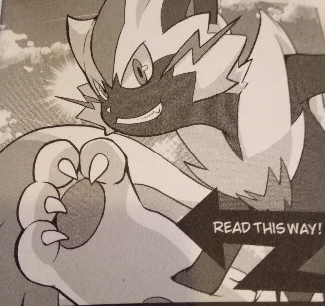 DailyZeraora's tweet photo. https://t.co/v1vRexjMED