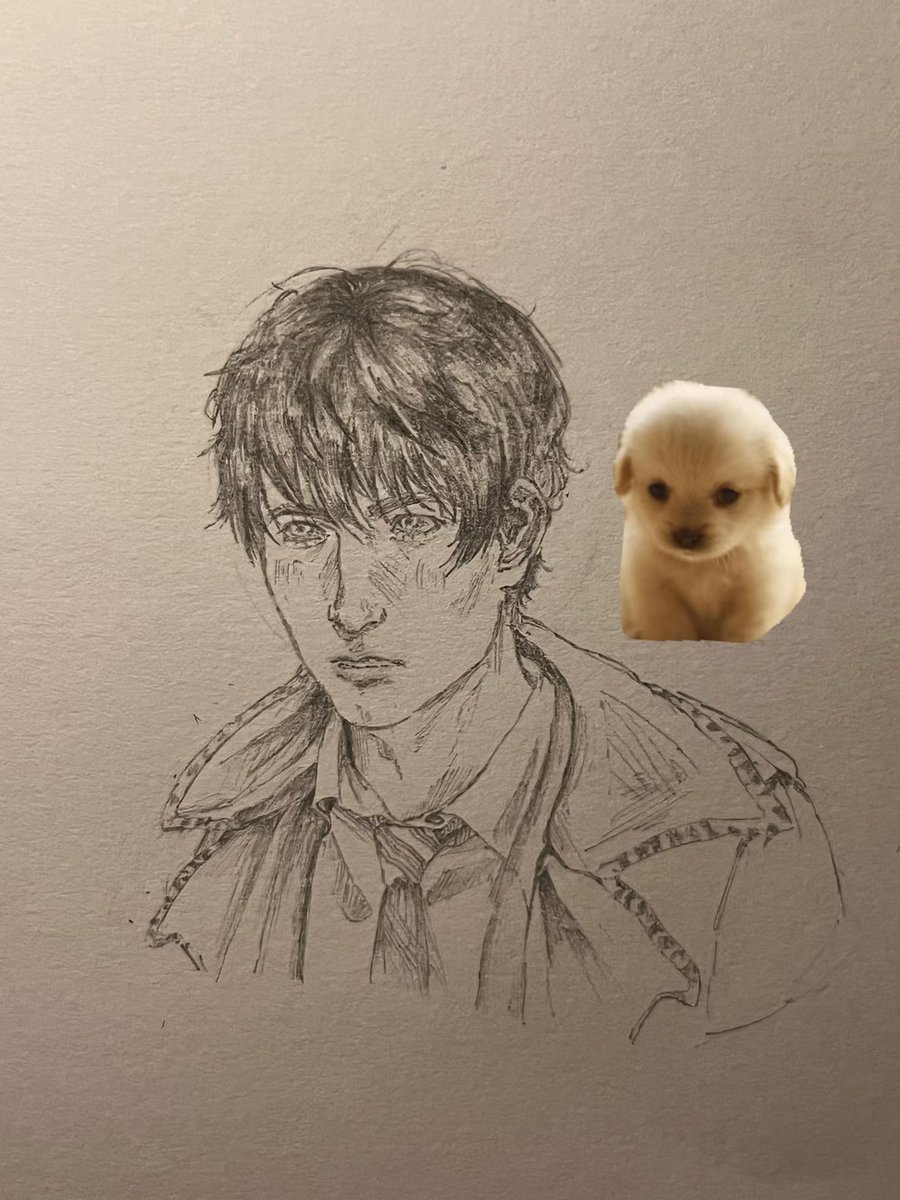 InsatiabIeHabit's tweet photo. #gossipgirl #natearchibald awaaaa puppy https://t.co/zcasDMYrO7