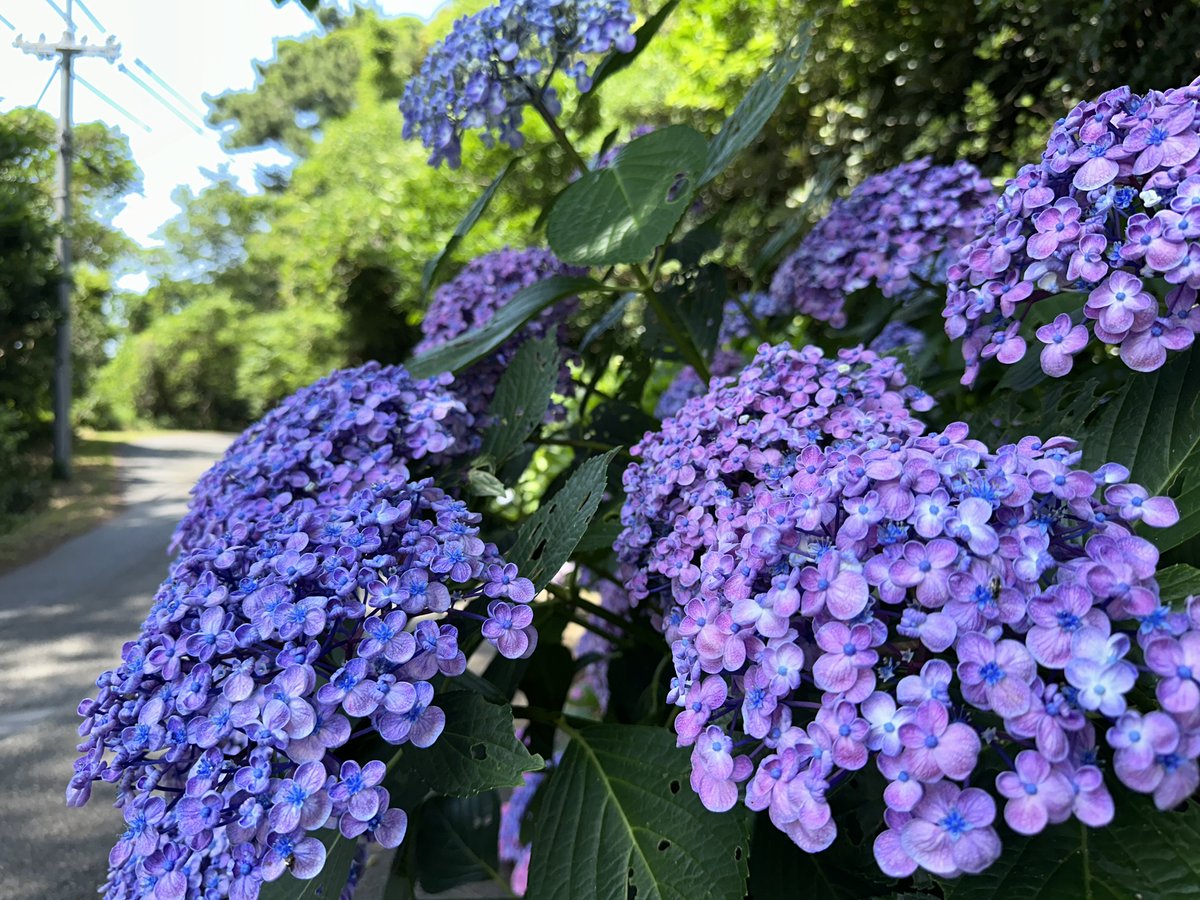 randengo's tweet photo. 整理整頓は、心の準備☝️

机が整うと、頭も自然と整う。

本番で慌てない人は、普段から整えている。

今日の整理整頓が、明日をつくる🌈 https://t.co/n6OEmbA0XW