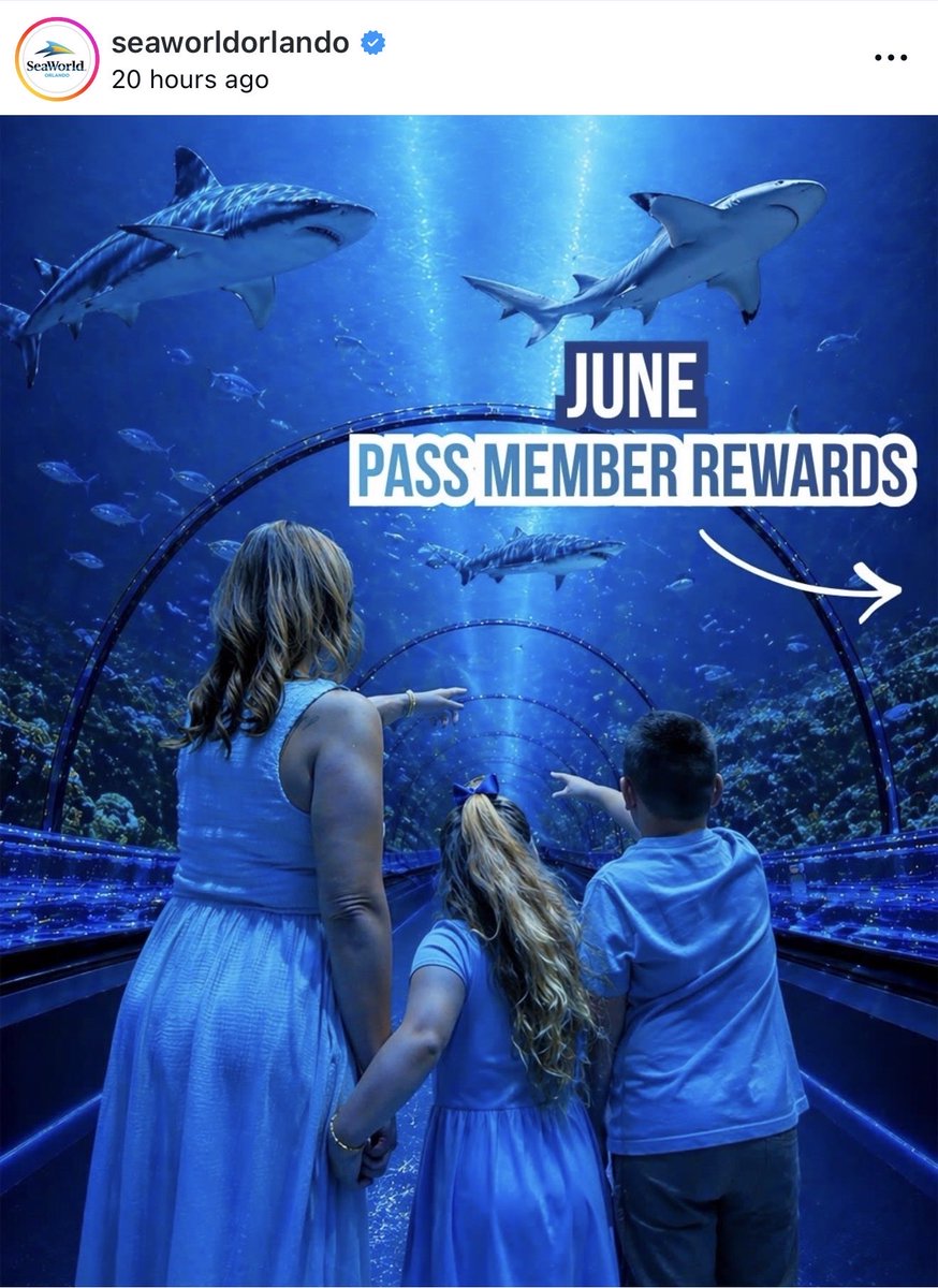 Retroshamu's tweet photo. @SeaofPower SeaWorld posted an AI photo a few days ago https://t.co/uXWjTypg4R