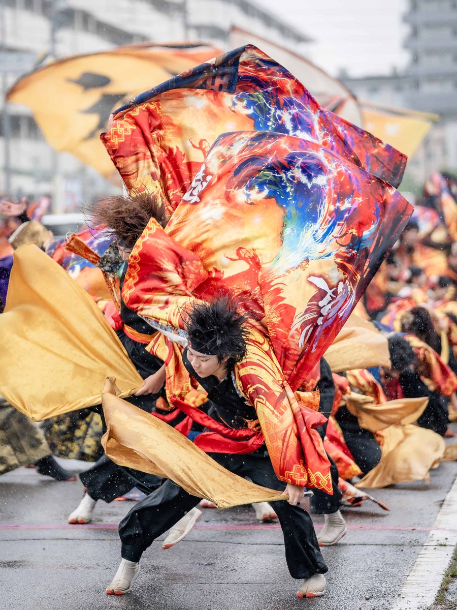 papa_scene's tweet photo. 夜宵 「勲音」

犬山踊芸祭 https://t.co/dUkNr5vRCm