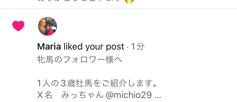 SPAG888's tweet photo. @michio29 外国の牝馬も気になっているようですwwwww https://t.co/WRexm2gmD0