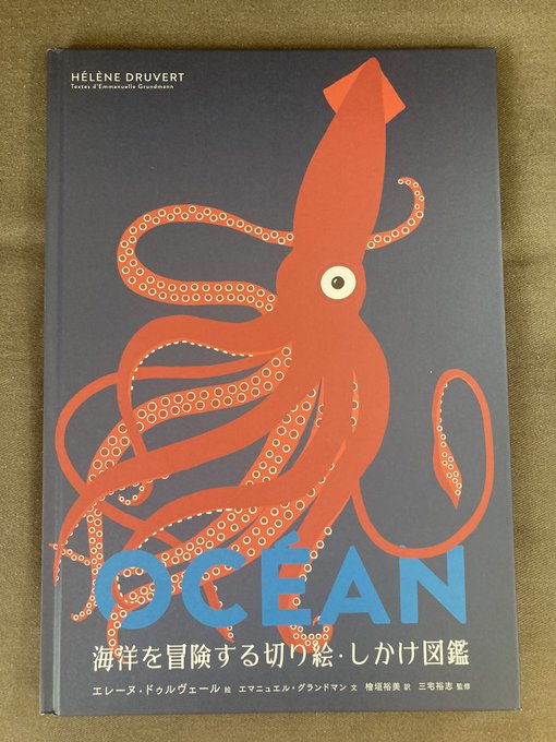 hi_yu03's tweet photo. 自分の訳書で恐縮ですが…#世界海洋デー ということで本の紹介です📚
『海洋を冒険する切り絵・しかけ図鑑』を開いて、海の冒険に出かけてみませんか？

#世界海洋デー https://t.co/GZxwkGo3p9