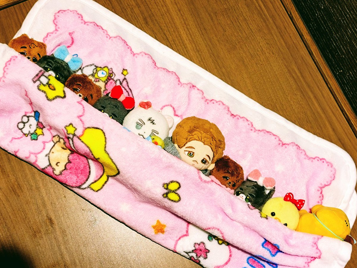 Fuku_bargain's tweet photo. おはよう可愛い子ちゃんたち
そろそろ起きようね〜

👦🐹🐺🐺🐺🐻🐻🐻🐥🐣🍌
　　　＼\ ﾔｰ!!! /／

息の合ったﾔｰ! ありがとうねぇ
でも起きようねぇ https://t.co/u9Gs8K58fE