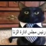 Humerus tweet media