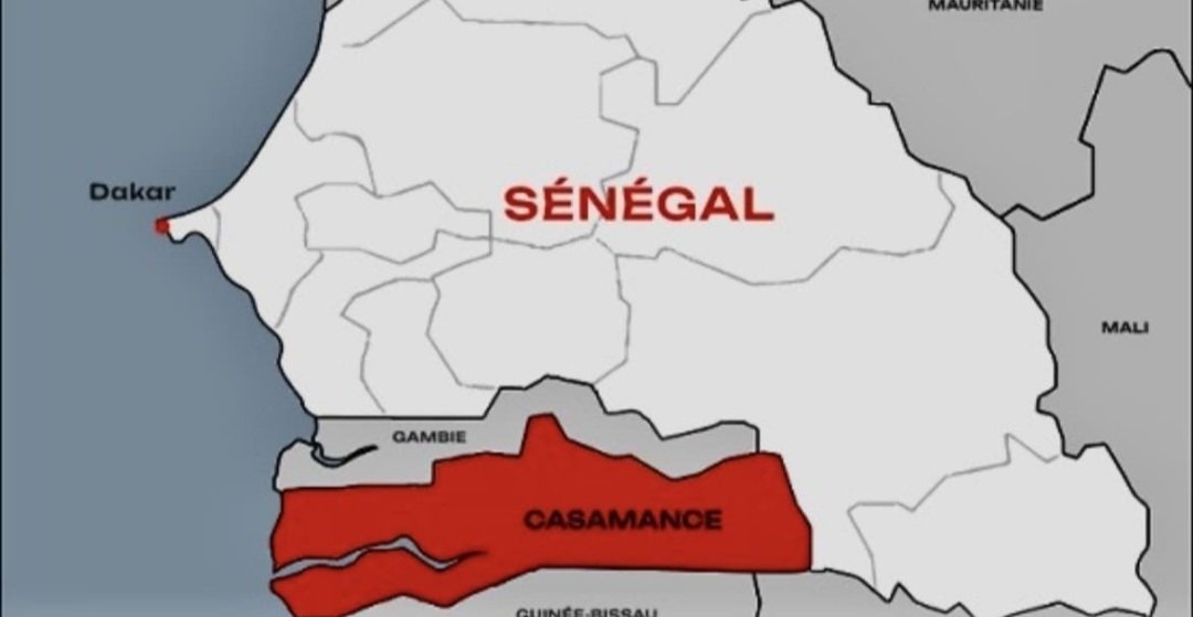 mocro311's tweet photo. @ats_sn_ @Garimpeiro0403 @amrsxn Nique le chienegal vive la casamance sale salope ton pays du tiers monde sous franc cfa https://t.co/gEMgKr88ke