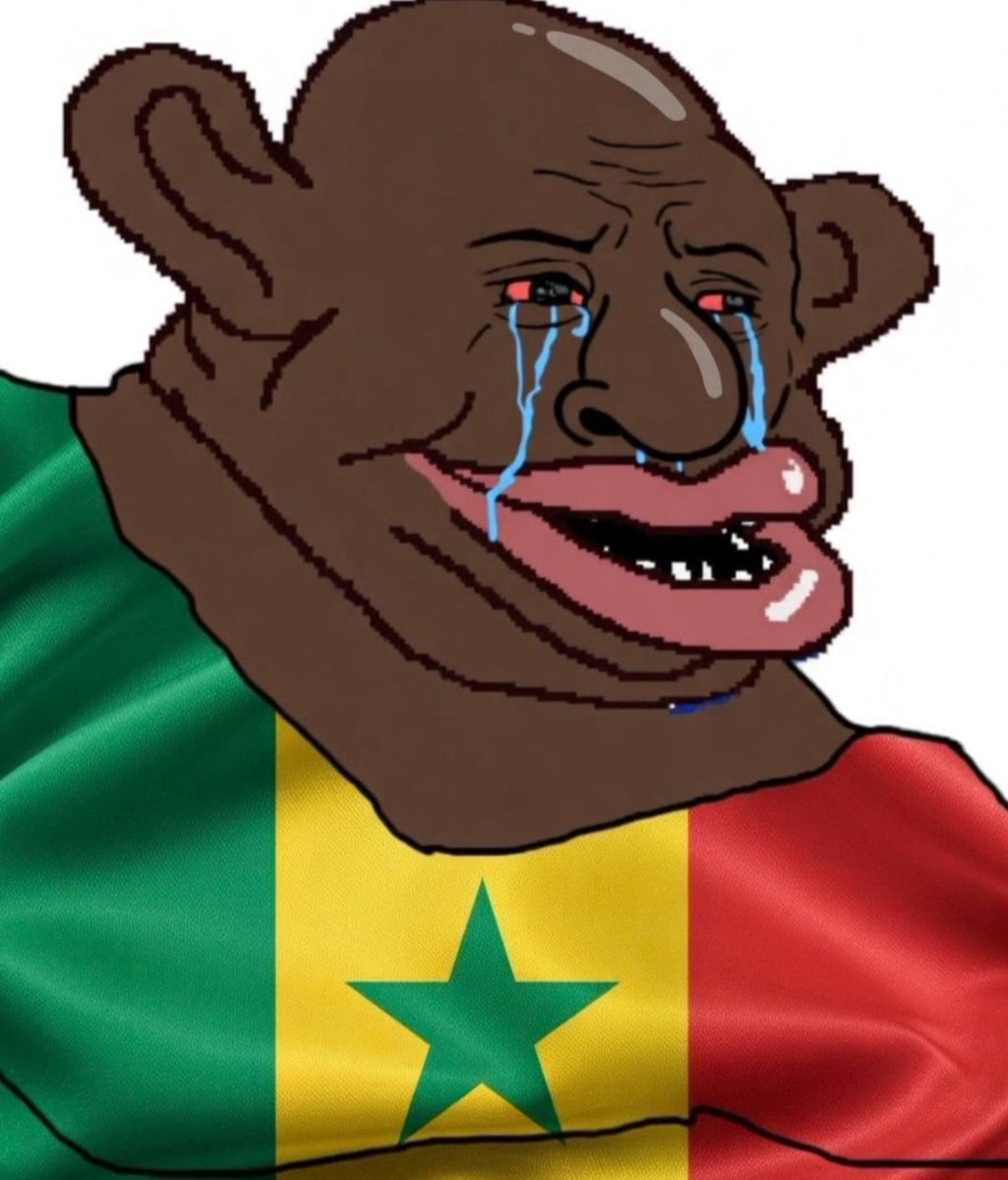 mocro311's tweet photo. @ats_sn_ @Garimpeiro0403 @amrsxn Nique le chienegal vive la casamance sale salope ton pays du tiers monde sous franc cfa https://t.co/gEMgKr88ke