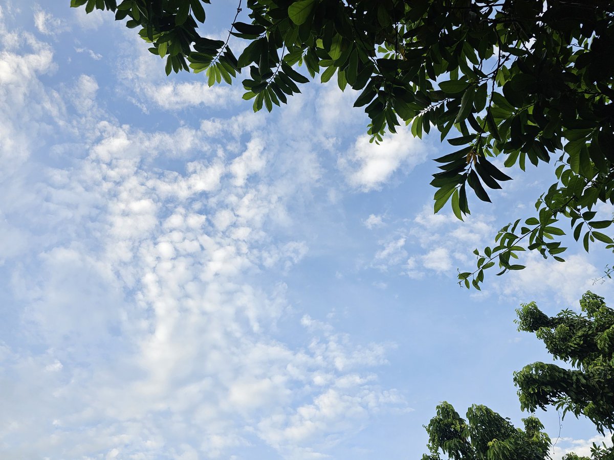 TawArtsSU35's tweet photo. อรุณสวัสดิ์ ขอให้วันนี้เป็นวันที่ใจดี เหมือนท้องฟ้ายามเช้าที่สดใสนะ 💙

ขอให้ผมหายติด Ghost Ban สีแดงไวไว อยากเม้นเพื่อน ๆ แล้ว 🤣 https://t.co/E5PjwYWNlI