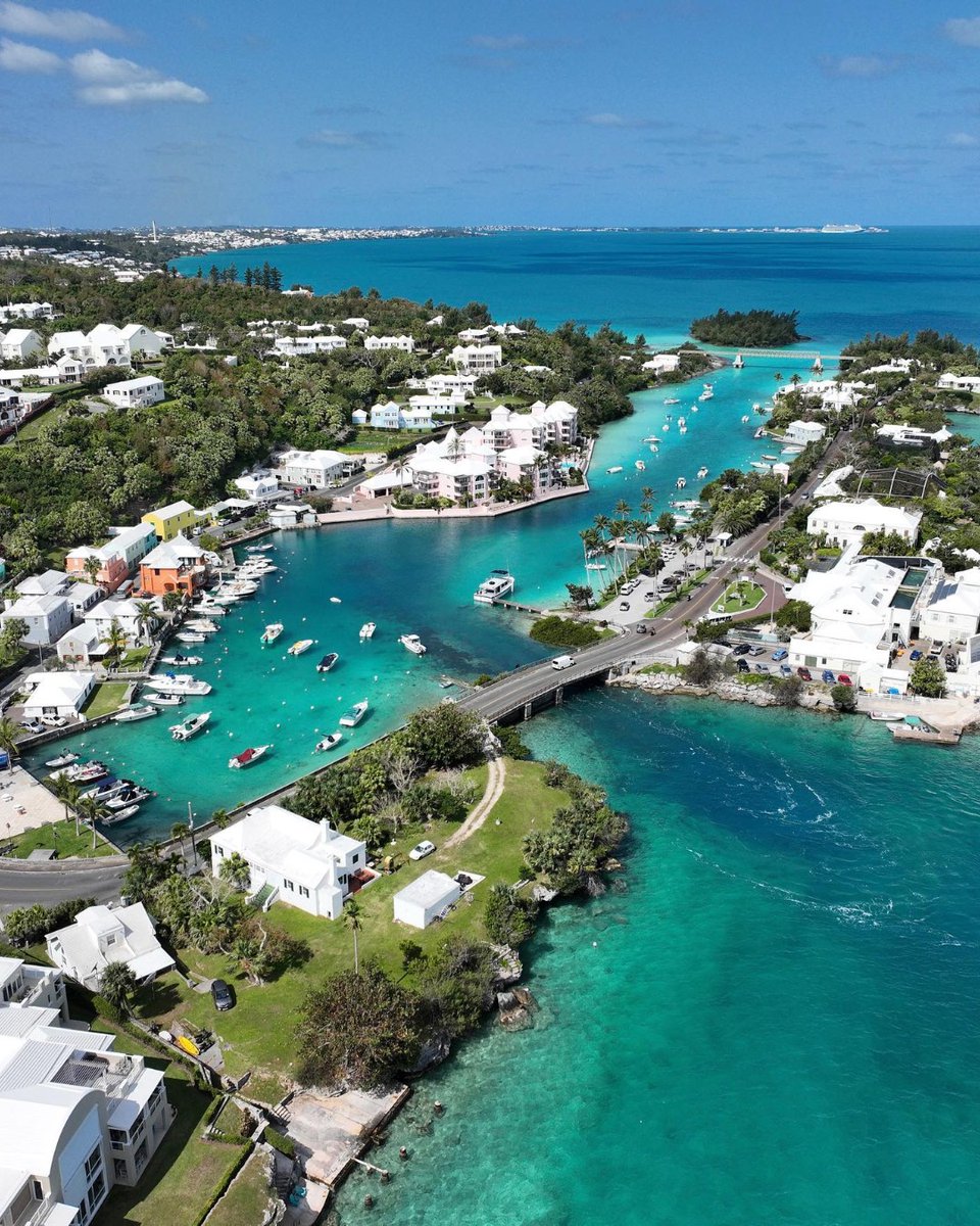 Bermuda tweet media