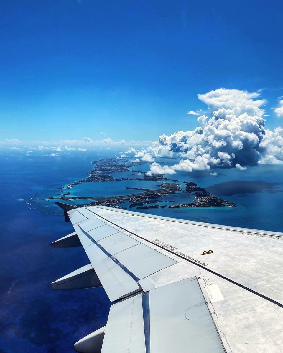 Bermuda tweet media