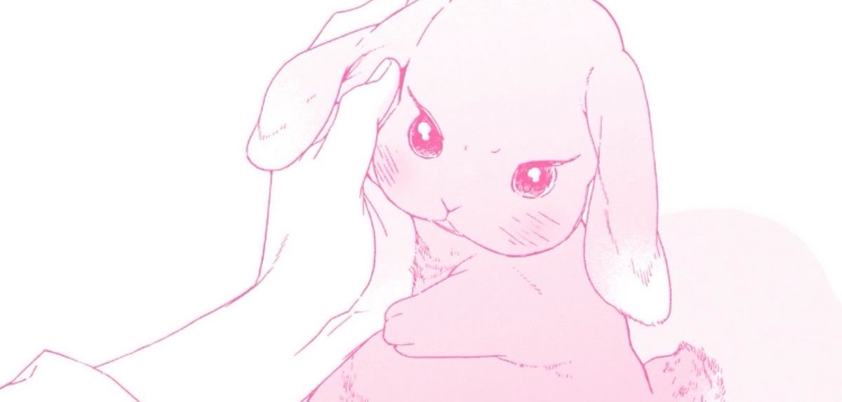 vivi tweet media