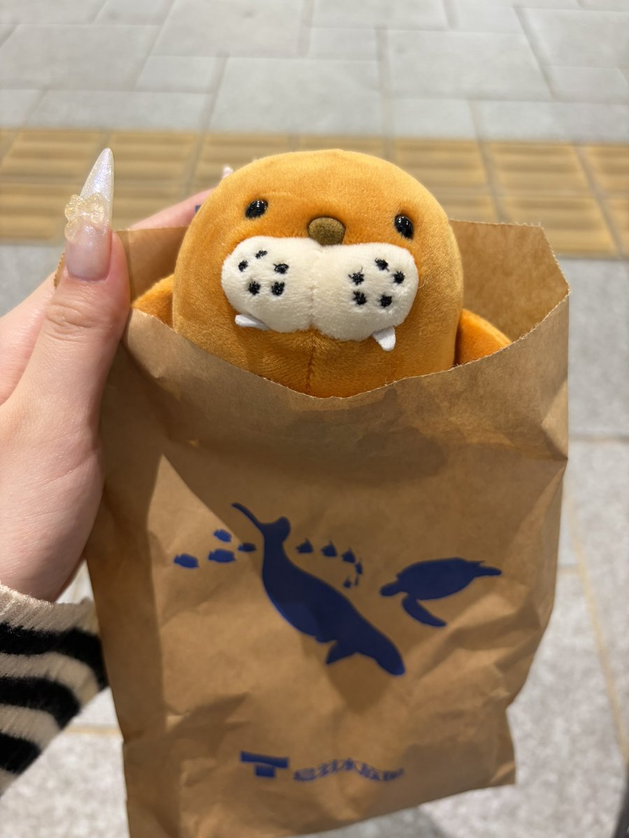guild_anzu's tweet photo. 水族館で可愛いの買った♪ https://t.co/h51h0ccAfa