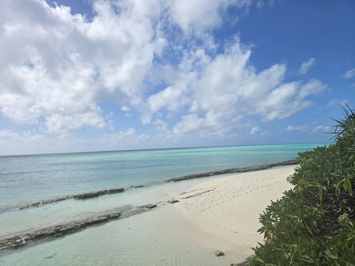 thevoid84's tweet photo. My home away from home #heronisland it's been a spectacular weekend but now time to head back to reality https://t.co/YqmH0oK7se