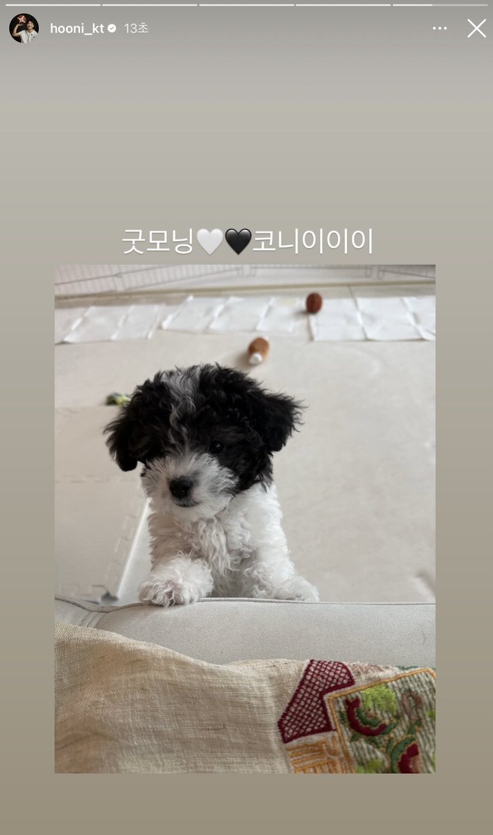 S2hoonn's tweet photo. 260608 #허훈 인스스

아침부터 코니ㅜㅜ 커엽다….♡♡ https://t.co/B1u5LBTGSI