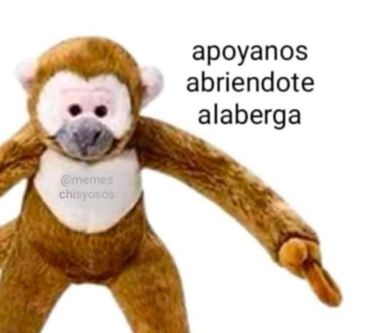 NightmareRld's tweet photo. @TheyXndre @BasuraGalactik Te van a pasar de largo ppy... Aquí nomas memes sin música, y mucho más que aquí son memes no clips https://t.co/aPsTDQUqAj