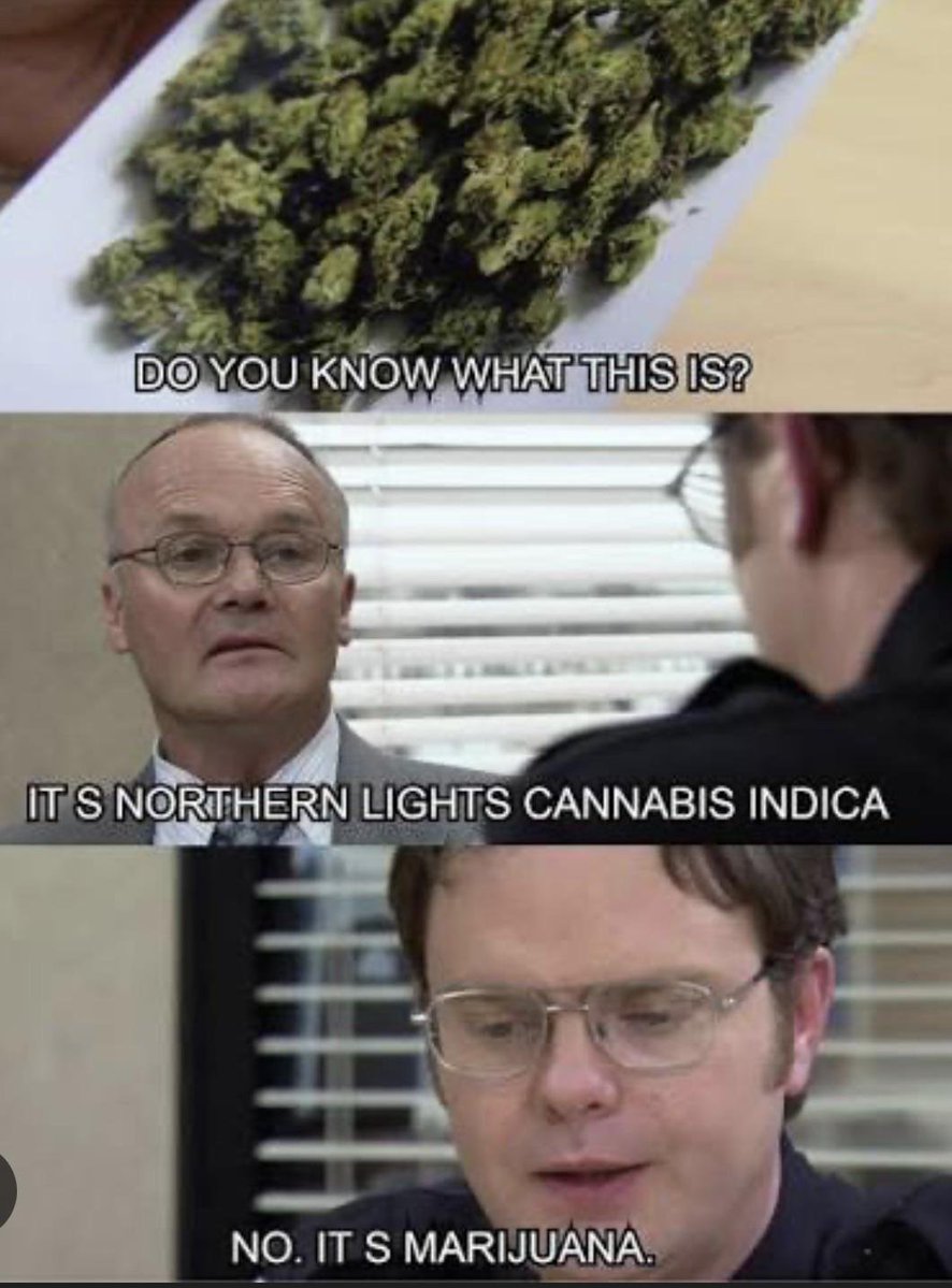 Lily_Argenta's tweet photo. Creed was hilarious. https://t.co/K7kG8Uoe9S