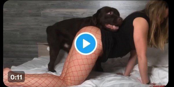 Dog Queen tweet media